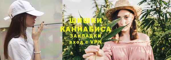 ГАЛЛЮЦИНОГЕННЫЕ ГРИБЫ Богданович